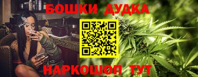 стафф Новозыбков