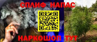 стафф Новозыбков