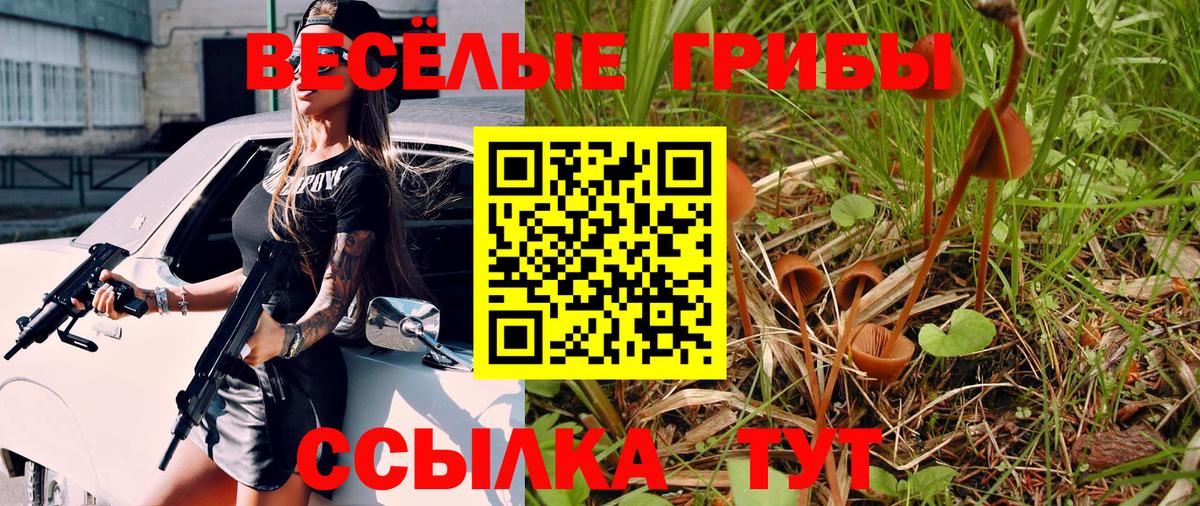Галлюциногенные грибы GOLDEN TEACHER Дальнереченск